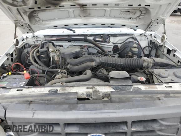 ✅ 1995 Ford F-150 • VIN: 2FTEF15N0SCA33333 • Lot: 49594735. Wystawiony na Copart z przebiegiem 186 762 mil. Bezpłatny archiwum sprzedaży aukcyjnych z USA i szczegółowy raport historii pojazdu na DreamBid. Zdjęcie 12.