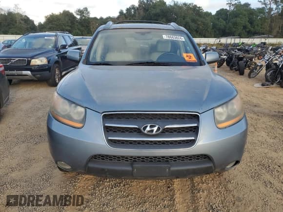 ✅ 2009 Hyundai Santa Fe Limited • VIN: 5NMSH13E99H316461 • Lot: 78683824. Listed on Copart with 149,241 mi. Free auction sales archive from the USA and detailed vehicle history report at DreamBid. Image 5.