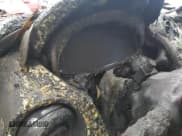 ✅ 2016 Jaguar XJ R-Sport • VIN: SAJWA1C71G8V95735 • Lot: 82708265. Wystawiony na Copart z przebiegiem Nie podano. Bezpłatny archiwum sprzedaży aukcyjnych z USA i szczegółowy raport historii pojazdu na DreamBid. Zdjęcie 9.