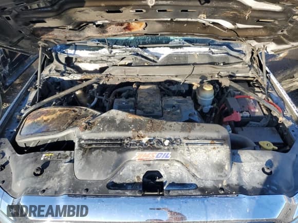 ✅ 2019 Ram 3500 Longhorn • VIN: 3C63RRKL5KG691918 • Lot: 90821595. Wystawiony na Copart z przebiegiem Nie podano. Bezpłatny archiwum sprzedaży aukcyjnych z USA i szczegółowy raport historii pojazdu na DreamBid. Zdjęcie 11.