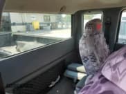 ✅ 2006 Ford Ranger XL • VIN: 1FTZR15E56PA46771 • Lot: 70317125. Listed on Copart with 215,806 mi. Free auction sales archive from the USA and detailed vehicle history report at DreamBid. Image 10.