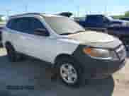 2009 Hyundai Santa Fe GLS with VIN 5NMSG13D49H324266, listed as a IAAI auction lot 43594483 with 125,396 mi miles and . Bid and sale history available at DreamBid. Image 1.