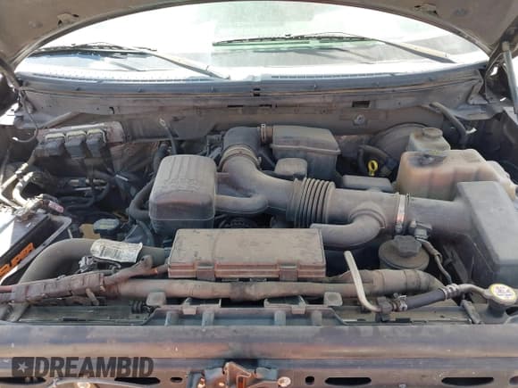 ✅ 2010 Ford F-150 XL • VIN: 1FTFW1CV9AFD66334 • Lot: 43257635. Listed on IAAI with 184,339 mi. Free auction sales archive from the USA and detailed vehicle history report at DreamBid. Image 10.