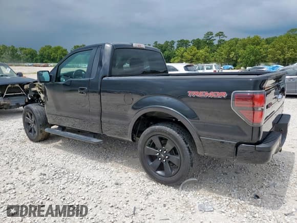 ✅ 2014 Ford F-150 XL • VIN: 1FTMF1CT3EFA49192 • Lot: 66476405. Wystawiony na Copart z przebiegiem 46 371 mil. Bezpłatny archiwum sprzedaży aukcyjnych z USA i szczegółowy raport historii pojazdu na DreamBid. Zdjęcie 2.