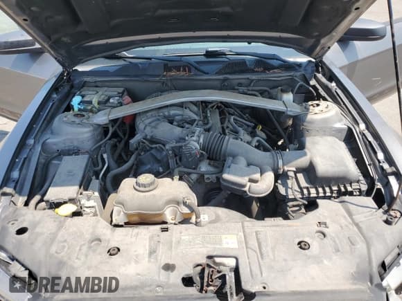 ✅ 2013 Ford Mustang V6 • VIN: 1ZVBP8EM6D5204015 • Лот: 65909935. Опубликован ранее на Copart с пробегом 168 378 миль. Бесплатный доступ к архиву аукционных продаж из США и подробный отчёт об истории автомобиля на DreamBid. Изображение 11.