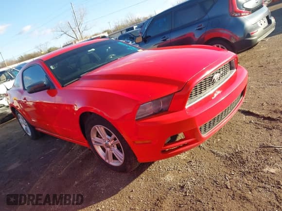 ✅ 2014 Ford Mustang V6 • VIN: 1ZVBP8AM4E5229230 • Лот: 43633588. Опубликован ранее на IAAI с пробегом 159 067 миль. Бесплатный доступ к архиву аукционных продаж из США и подробный отчёт об истории автомобиля на DreamBid. Изображение 1.