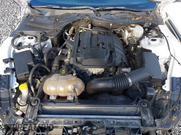 ✅ 2018 Ford Mustang EcoBoost • VIN: 1FA6P8TH8J5150700 • Лот: 43752816. Опубликован ранее на IAAI с пробегом 36 614 миль. Бесплатный доступ к архиву аукционных продаж из США и подробный отчёт об истории автомобиля на DreamBid. Изображение 10.