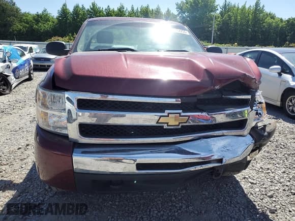 ✅ 2009 Chevrolet Silverado 1500 Work Truck • VIN: 1GCEC14019Z185326 • Lot: 57432255. Listed on Copart with 293,135 mi. Free auction sales archive from the USA and detailed vehicle history report at DreamBid. Image 5.