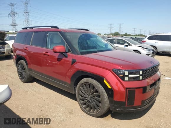✅ 2024 Hyundai Santa Fe Calligraphy • VIN: 5NMP5DGL3RH040402 • Lot: 68036335. Listed on Copart with 19,478 mi. Free auction sales archive from the USA and detailed vehicle history report at DreamBid. Image 4.