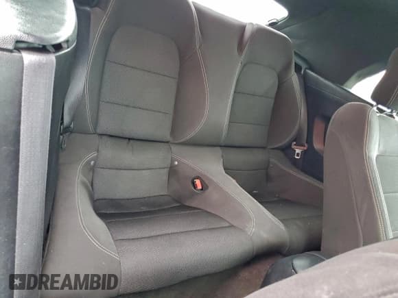 ✅ 2015 Ford Mustang V6 • VIN: 1FATP8EM3F5415527 • Lot: 95217655. Wystawiony na Copart z przebiegiem 158 331 mil. Bezpłatny archiwum sprzedaży aukcyjnych z USA i szczegółowy raport historii pojazdu na DreamBid. Zdjęcie 10.