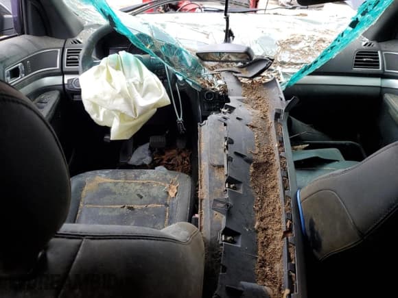 ✅ 2016 Ford Explorer XLT • VIN: 1FM5K7DH8GGB70984 • Лот: 72039135. Опубликован ранее на Copart с пробегом Не указан. Бесплатный доступ к архиву аукционных продаж из США и подробный отчёт об истории автомобиля на DreamBid. Изображение 8.