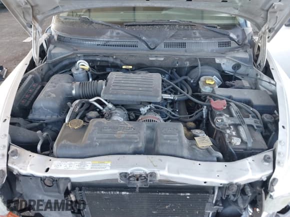 ✅ 2003 Dodge Dakota SLT • VIN: 1D7HL48N13S294573 • Lot: 41291127. Wystawiony na IAAI z przebiegiem 227 355 mil. Bezpłatny archiwum sprzedaży aukcyjnych z USA i szczegółowy raport historii pojazdu na DreamBid. Zdjęcie 10.