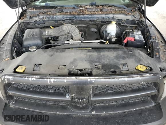 2009 Dodge 1500 SLT with VIN 1D3HV16T09J530687, listed as a Copart auction lot 60369715 with 193,076 mi miles and Clean title. Bid and sale history available at DreamBid. Image 11.