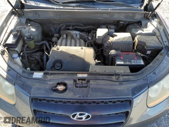 ✅ 2009 Hyundai Santa Fe GLS • VIN: 5NMSG13D89H245358 • Lot: 82548894. Listed on Copart with 201,704 mi. Free auction sales archive from the USA and detailed vehicle history report at DreamBid. Image 12.