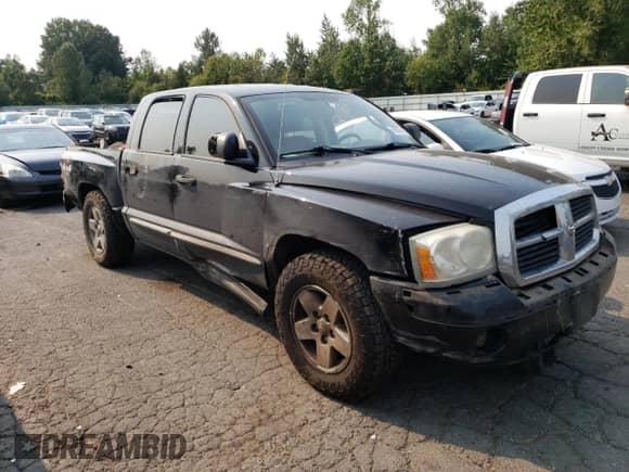 2005 Dodge Dakota Laramie with VIN 1D7HW58N65S161629, listed as a Copart auction lot 66570164 with 205,984 mi miles and Salvage title. Bid and sale history available at DreamBid. Image 4.
