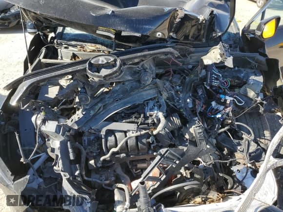 ✅ 2021 Toyota RAV4 LE • VIN: 2T3G1RFV5MC166374 • Lot: 82687445. Listed on Copart with Not provided. Free auction sales archive from the USA and detailed vehicle history report at DreamBid. Image 12.