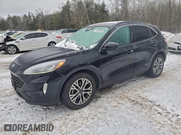 ✅ 2021 Ford Escape SEL • VIN: 1FMCU0H65MUA20409 • Lot: 94535605. Listed on Copart with 197,224 mi. Free auction sales archive from the USA and detailed vehicle history report at DreamBid. Image 1.