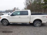✅ 2009 Ford F-150 XL • VIN: 1FTPW14V09FA47340 • Лот: 43721450. Опубликован ранее на IAAI с пробегом 247 063 миль. Бесплатный доступ к архиву аукционных продаж из США и подробный отчёт об истории автомобиля на DreamBid. Изображение 14.
