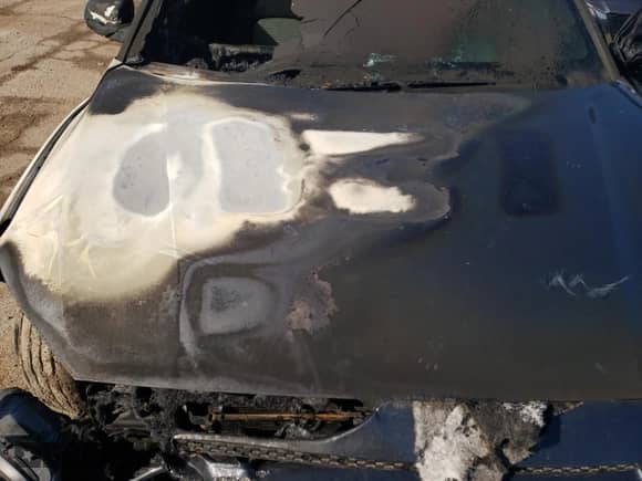 2020 Hyundai Kona SEL с VIN KM8K2CAA2LU564947, выставлен на аукционе Copart как лот 64862302 с пробегом Не указан миль и . История ставок и продаж доступна на DreamBid. Изображение 7.