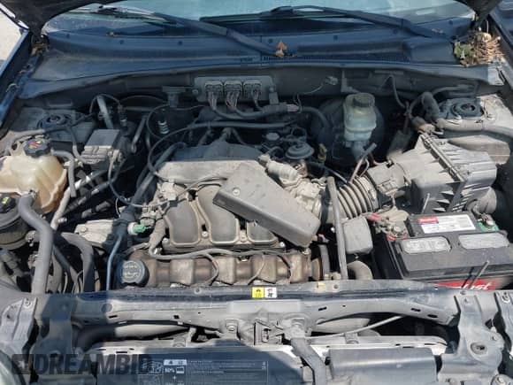 2006 Mercury Mariner Luxury с VIN 4M2YU56136KJ06342, выставлен на аукционе IAAI как лот 42329098 с пробегом 216 578 миль миль и . История ставок и продаж доступна на DreamBid. Изображение 10.