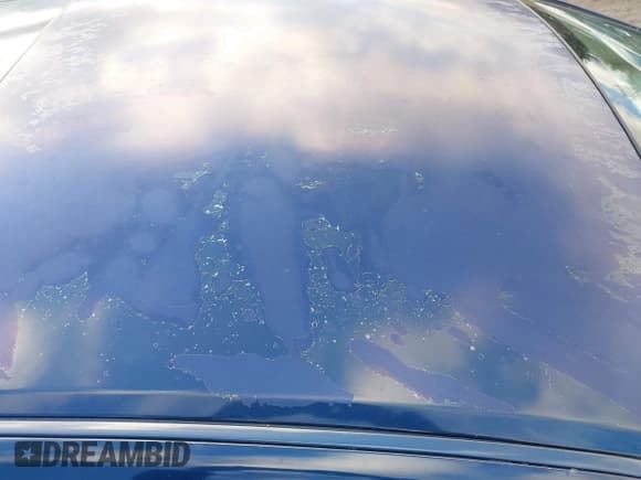 ✅ 2006 Toyota Avalon XL • VIN: 4T1BK36B46U131359 • Lot: 43685945. Wystawiony na IAAI z przebiegiem 265 450 mil. Bezpłatny archiwum sprzedaży aukcyjnych z USA i szczegółowy raport historii pojazdu na DreamBid. Zdjęcie 6.