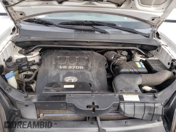 2007 Hyundai Tucson SE z VIN KM8JN72D27U569221, wystawiony jako Copart lot #74250944 z przebiegiem 195 097 mil mil oraz Szkoda całkowita • Salvage title. Historia ofert i sprzedaży dostępna na DreamBid. Obrazek 11.