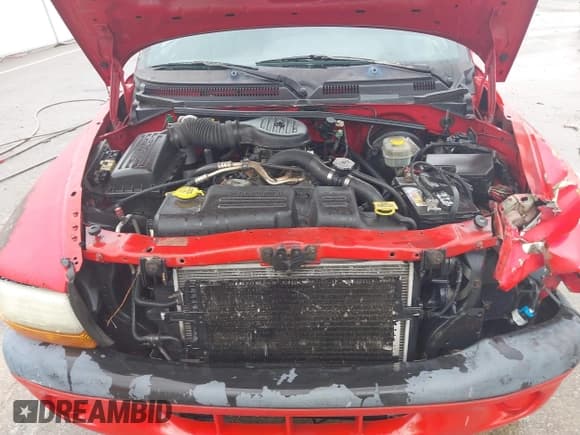 ✅ 2000 Dodge Dakota Sport • VIN: 1B7HG2AZ4YS711580 • Lot: 42400349. Wystawiony na IAAI z przebiegiem 216 057 mil. Bezpłatny archiwum sprzedaży aukcyjnych z USA i szczegółowy raport historii pojazdu na DreamBid. Zdjęcie 10.