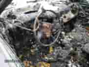 2007 Dodge Charger SRT-8 с VIN 2B3LA73W57H751427, выставлен на аукционе Copart как лот 81117954 с пробегом Не указан миль и На запчасти • Non repairable. История ставок и продаж доступна на DreamBid. Изображение 8.