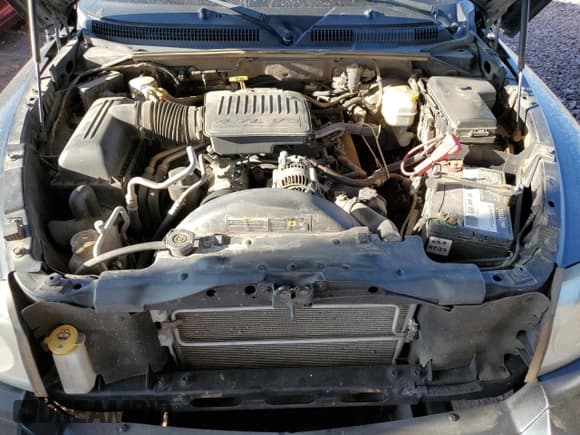 ✅ 2006 Dodge Dakota • VIN: 1D7HE42J16S632364 • Лот: 57611325. Опубликован ранее на Copart с пробегом 187 317 миль. Бесплатный доступ к архиву аукционных продаж из США и подробный отчёт об истории автомобиля на DreamBid. Изображение 11.