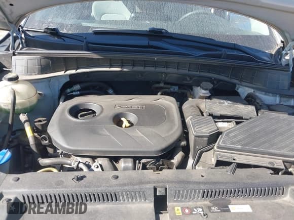 ✅ 2019 Hyundai Tucson SE • VIN: KM8J23A40KU905234 • Лот: 43356661. Опубликован ранее на IAAI с пробегом 142 904 миль. Бесплатный доступ к архиву аукционных продаж из США и подробный отчёт об истории автомобиля на DreamBid. Изображение 10.