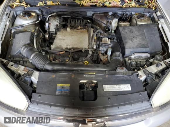 2005 Chevrolet Malibu LS z VIN 1G1ZT54845F180382, wystawiony jako Copart lot #77350624 z przebiegiem 211 125 mil mil oraz Szkoda całkowita • Salvage title. Historia ofert i sprzedaży dostępna na DreamBid. Obrazek 11.