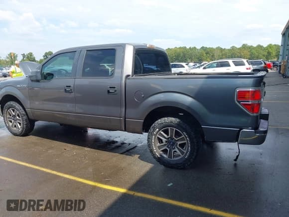 ✅ 2010 Ford F-150 XL • VIN: 1FTEW1CWXAFB65546 • Lot: 43209698. Listed on IAAI with 232,970 mi. Free auction sales archive from the USA and detailed vehicle history report at DreamBid. Image 14.