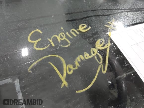 ✅ 2009 Audi A4 Premium Plus • VIN: WAUSF78K29N034802 • Lot: 43828501. Listed on IAAI with 145,660 mi. Free auction sales archive from the USA and detailed vehicle history report at DreamBid. Image 6.