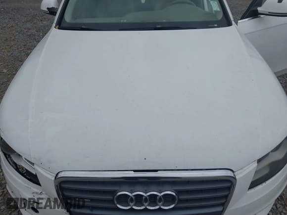 ✅ 2009 Audi A4 Premium Plus • VIN: WAUSF78K39N043315 • Lot: 40697780. Listed on IAAI with 196,457 mi. Free auction sales archive from the USA and detailed vehicle history report at DreamBid. Image 10.