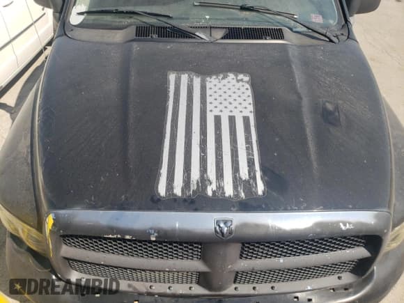 ✅ 2003 Dodge 1500 ST • VIN: 1D7HA18N63J562740 • Лот: 72150114. Опубликован ранее на Copart с пробегом 159 689 миль. Бесплатный доступ к архиву аукционных продаж из США и подробный отчёт об истории автомобиля на DreamBid. Изображение 11.