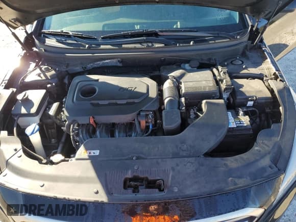 ✅ 2017 Hyundai Sonata SE • VIN: 5NPE24AFXHH482274 • Лот: 69122282. Опубликован ранее на Copart с пробегом 63 295 миль. Бесплатный доступ к архиву аукционных продаж из США и подробный отчёт об истории автомобиля на DreamBid. Изображение 11.