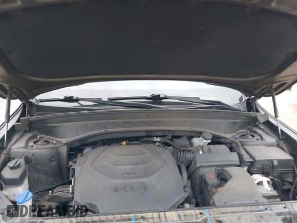 ✅ 2022 Kia Telluride EX • VIN: 5XYP34HC1NG316438 • Lot: 42508673. Wystawiony na IAAI z przebiegiem 96 553 mil. Bezpłatny archiwum sprzedaży aukcyjnych z USA i szczegółowy raport historii pojazdu na DreamBid. Zdjęcie 10.