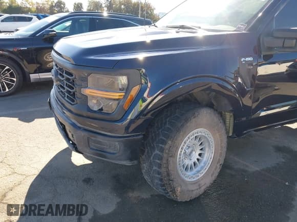 ✅ 2025 Ford F-150 XL • VIN: 1FTMF1L53SKD83503 • Lot: 43587134. Wystawiony na IAAI z przebiegiem 3 250 mil. Bezpłatny archiwum sprzedaży aukcyjnych z USA i szczegółowy raport historii pojazdu na DreamBid. Zdjęcie 6.