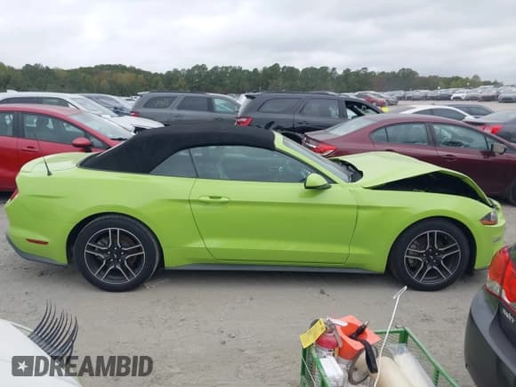 ✅ 2020 Ford Mustang EcoBoost Premium • VIN: 1FATP8UH9L5101347 • Lot: 43377781. Listed on IAAI with 99,545 mi. Free auction sales archive from the USA and detailed vehicle history report at DreamBid. Image 13.