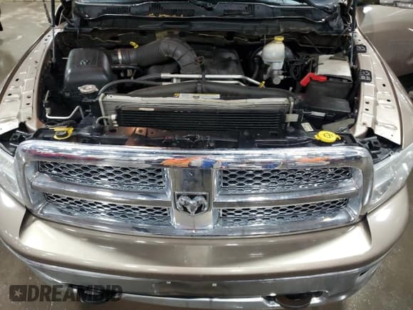 ✅ 2010 Dodge 1500 Laramie • VIN: 1D7RV1CT9AS120217 • Lot: 47941375. Wystawiony na Copart z przebiegiem 201 433 mil. Bezpłatny archiwum sprzedaży aukcyjnych z USA i szczegółowy raport historii pojazdu na DreamBid. Zdjęcie 12.