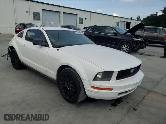 ✅ 2008 Ford Mustang Deluxe • VIN: 1ZVHT80N785140031 • Lot: 81670685. Wystawiony na Copart z przebiegiem 253 909 mil. Bezpłatny archiwum sprzedaży aukcyjnych z USA i szczegółowy raport historii pojazdu na DreamBid. Zdjęcie 13.
