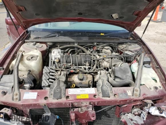 ✅ 1996 Buick Regal Gran Sport • VIN: 2G4WF52K9T1417982 • Лот: 49963815. Опубликован ранее на Copart с пробегом 98 269 миль. Бесплатный доступ к архиву аукционных продаж из США и подробный отчёт об истории автомобиля на DreamBid. Изображение 11.