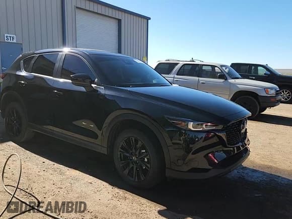 ✅ 2025 Mazda CX-5 S Preferred • VIN: JM3KFBCM7S0705244 • Лот: 90827105. Опубликован ранее на Copart с пробегом 2 822 миль. Бесплатный доступ к архиву аукционных продаж из США и подробный отчёт об истории автомобиля на DreamBid. Изображение 13.