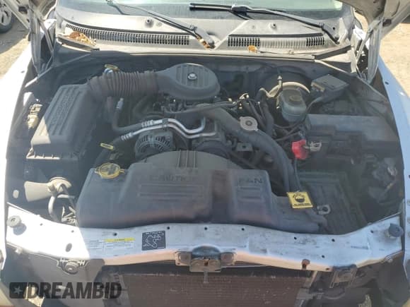 ✅ 2002 Dodge Dakota • VIN: 1B7GL12X32S557546 • Lot: 66879734. Wystawiony na Copart z przebiegiem 218 981 mil. Bezpłatny archiwum sprzedaży aukcyjnych z USA i szczegółowy raport historii pojazdu na DreamBid. Zdjęcie 12.