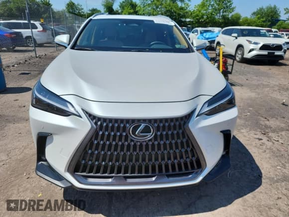 ✅ 2025 Lexus NX 350 • VIN: 2T2AGCEZ2SC073402 • Lot: 63376795. Wystawiony na Copart z przebiegiem 4 987 mil. Bezpłatny archiwum sprzedaży aukcyjnych z USA i szczegółowy raport historii pojazdu na DreamBid. Zdjęcie 5.