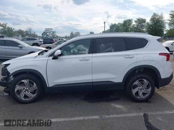 2023 Hyundai Santa Fe SEL с VIN 5NMS2DAJ8PH513427, выставлен на аукционе IAAI как лот 43082335 с пробегом 46 194 миль миль и . История ставок и продаж доступна на DreamBid. Изображение 14.