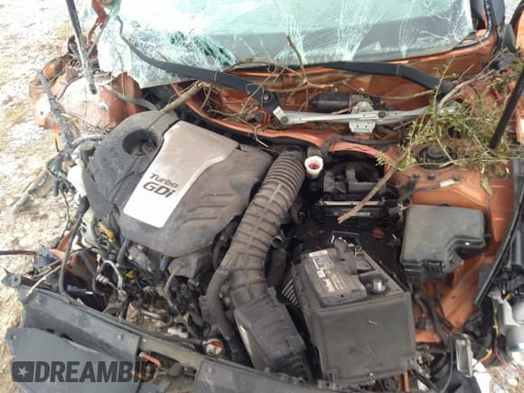 ✅ 2016 Hyundai Veloster Turbo Rally Edition • VIN: KMHTC6AE4GU254780 • Lot: 41370390. Wystawiony na IAAI z przebiegiem Nie podano. Bezpłatny archiwum sprzedaży aukcyjnych z USA i szczegółowy raport historii pojazdu na DreamBid. Zdjęcie 10.