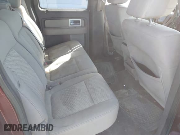 ✅ 2009 Ford F-150 XL • VIN: 1FTPW14V69FA21132 • Lot: 43499791. Listed on IAAI with 149,149 mi. Free auction sales archive from the USA and detailed vehicle history report at DreamBid. Image 8.