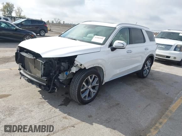 ✅ 2020 Hyundai Palisade SEL • VIN: KM8R4DHE4LU134554 • Lot: 43585546. Listed on IAAI with 95,251 mi. Free auction sales archive from the USA and detailed vehicle history report at DreamBid. Image 20.