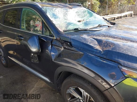 ✅ 2022 Hyundai Santa Fe SEL • VIN: 5NMS24AJ3NH397096 • Лот: 43339202. Опубликован ранее на IAAI с пробегом 57 131 миль. Бесплатный доступ к архиву аукционных продаж из США и подробный отчёт об истории автомобиля на DreamBid. Изображение 18.